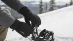 Perfekte Snowboardhandschuhe finden